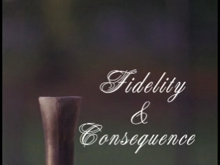 Fidelity & Consequence